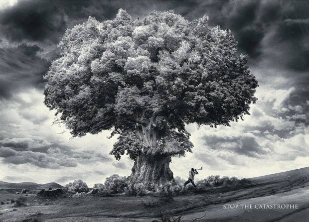 19420668_1617114051635158_2806826724805843640_n