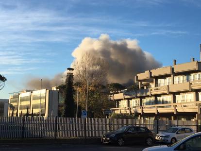 PHOTO-2018-12-11-08-31-14_MGTHUMB-INTERNA